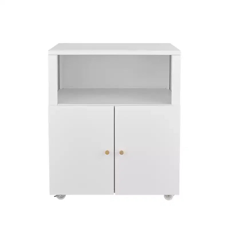Armoire de rangement roulante robuste avec 2 portes et étagère de rangement, armoire de classement en métal sous le bureau pour garage, maison, bureau